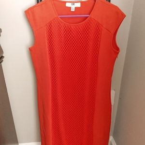 Orange/reddish dress, size 8, DR collection.